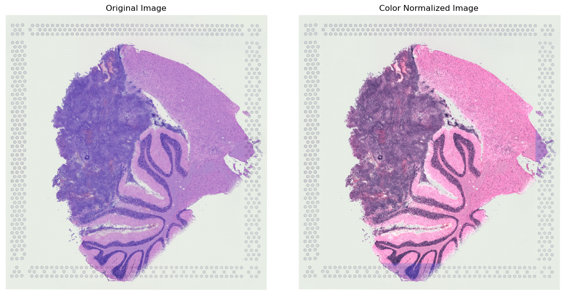 ../_images/tutorials_Color-normalization_10_1.png