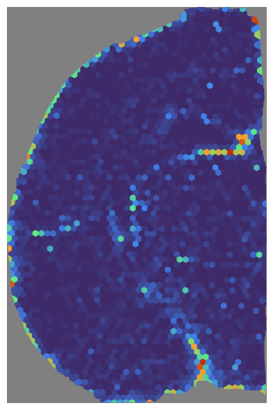 ../_images/tutorials_IHC-image_18_1.png